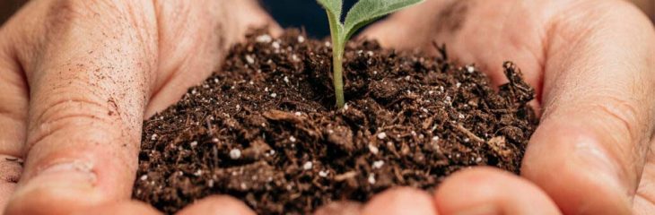 ۵۴ نقلقول استیو جابز در مورد کار، موفقیت و ایجاد چیزی با ارزش