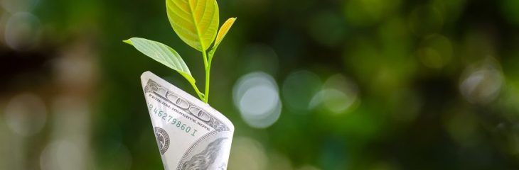 اهمیت هوش مالی در کسب و کار