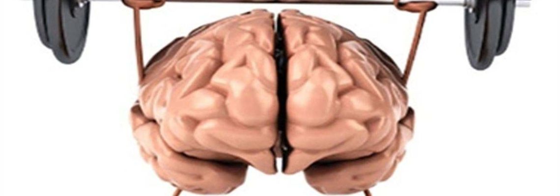 شیوه های تقویت حافظه در کار