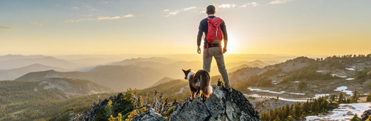 موفقیت را با زمان می توان به دست آورد یا هزینه