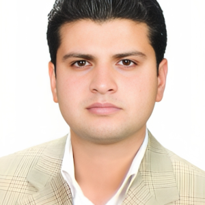 فریلنسر